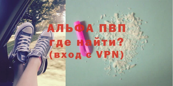 индика Касимов