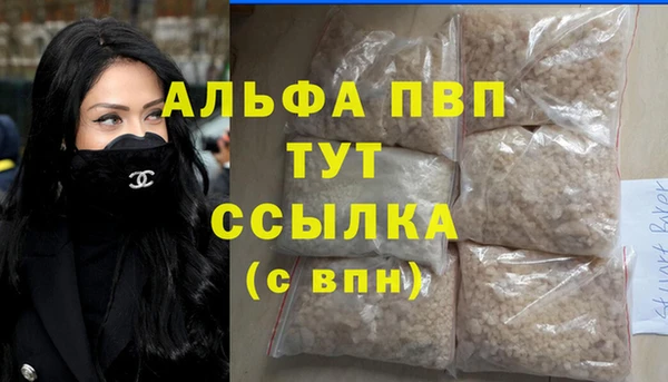 индика Касимов