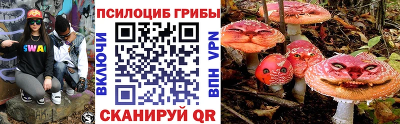 Галлюциногенные грибы Psilocybine cubensis  купить наркотик  гидра зеркало  Нытва 